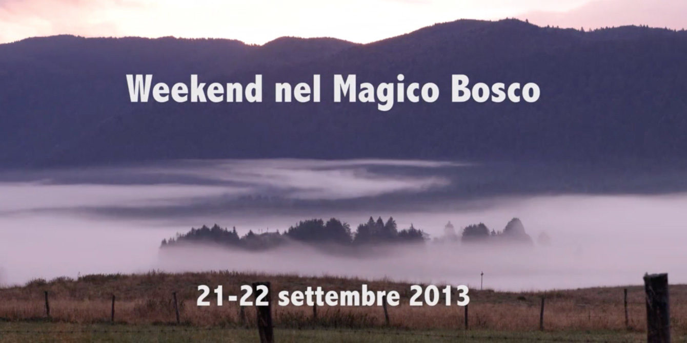 News1 Un Week-end nel Magico Bosco