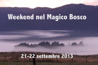 Un Week-end nel Magico Bosco